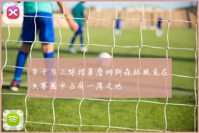 华子与三球招募詹姆斯森林狼竟在决赛圈中占有一席之地