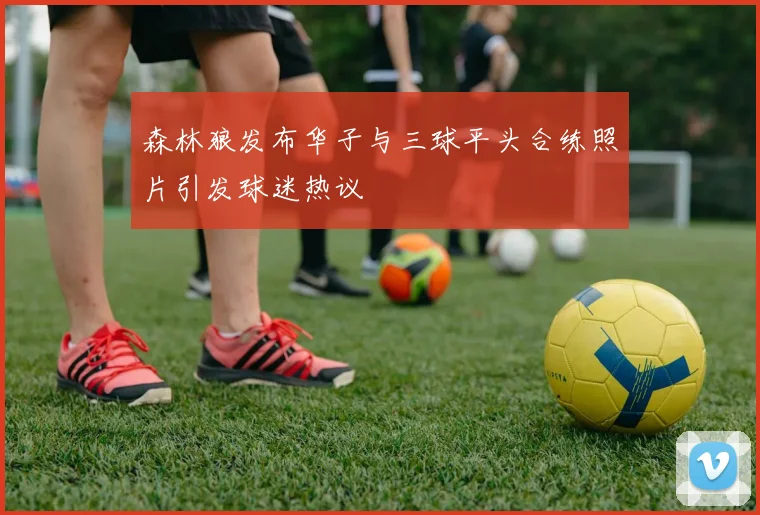 森林狼发布华子与三球平头合练照片引发球迷热议